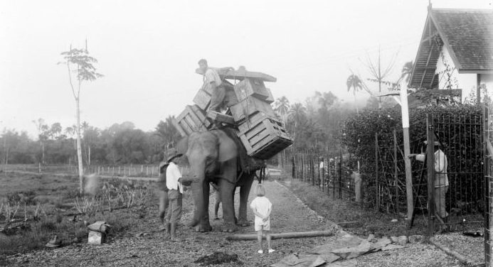 Перевозка военных грузов. Индонезия, 1940 г. 
