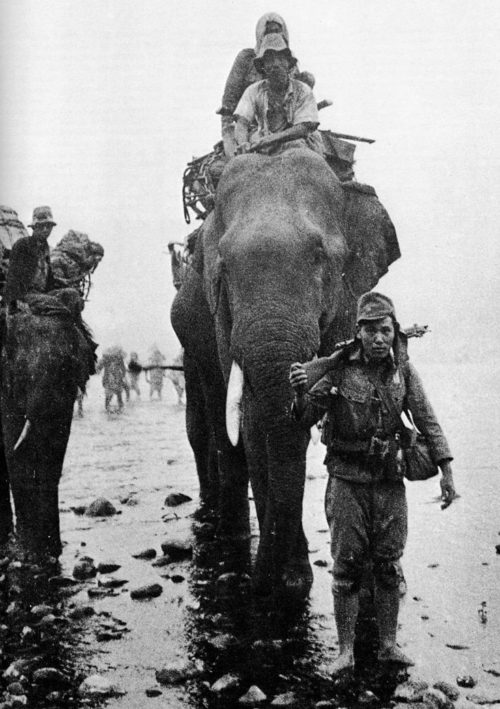 Японские войска на слонах в Бирме. 1944 г.