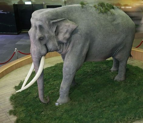Памятник слону Линь Ван. 