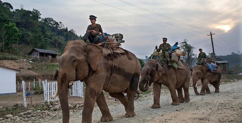 Повстанцы Армии независимости Качина едут на слонах к линии фронта в Мьянме в апреле 2012 года.