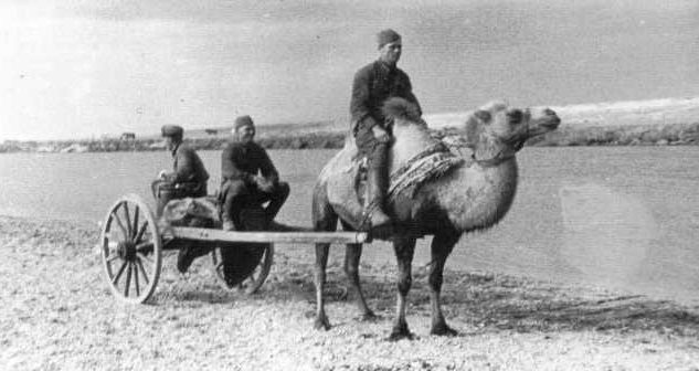 Бойцы Красной Армии осваивают новое «транспортное средство». 1939 г. 