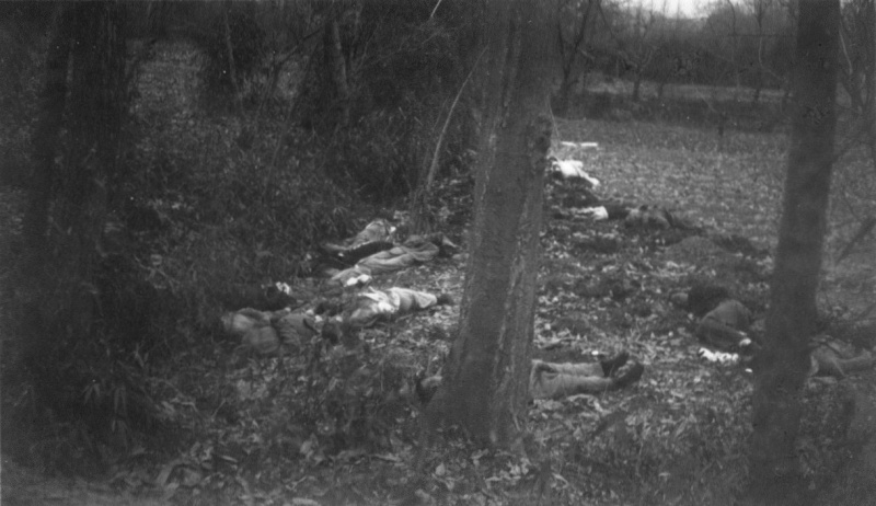 Казненные японскими солдатами китайцы в лесу в окрестностях Нанкина. Декабрь 1937 г.