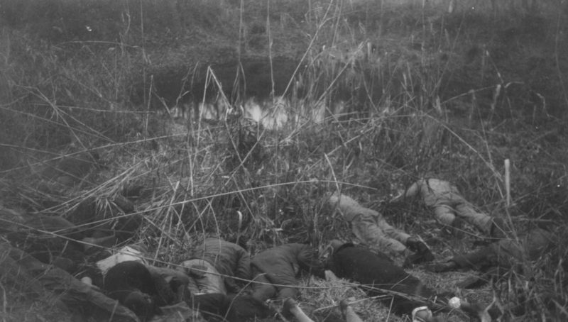 Казненные японскими солдатами китайцы в лесу в окрестностях Нанкина. Декабрь 1937 г.