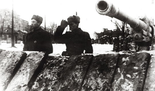 Зенитное орудие на Толстовской заставе. Ноябрь 1941 г.