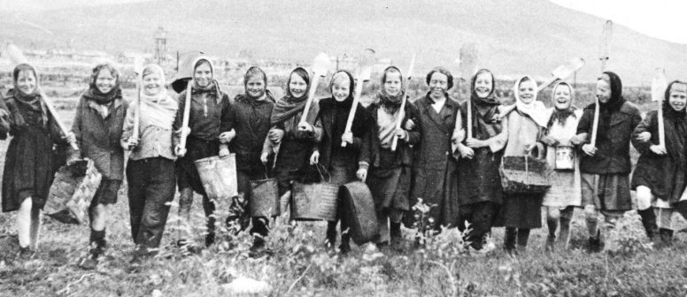 Мурманские школьники на уборке урожая в подшефном хозяйстве. 1943 г.