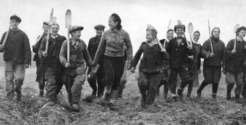 Мурманские школьники на уборке урожая в подшефном хозяйстве. 1943 г.