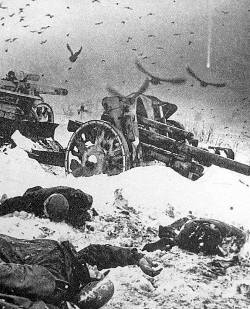 Поле боя после советского наступления. Декабрь 1941 г.