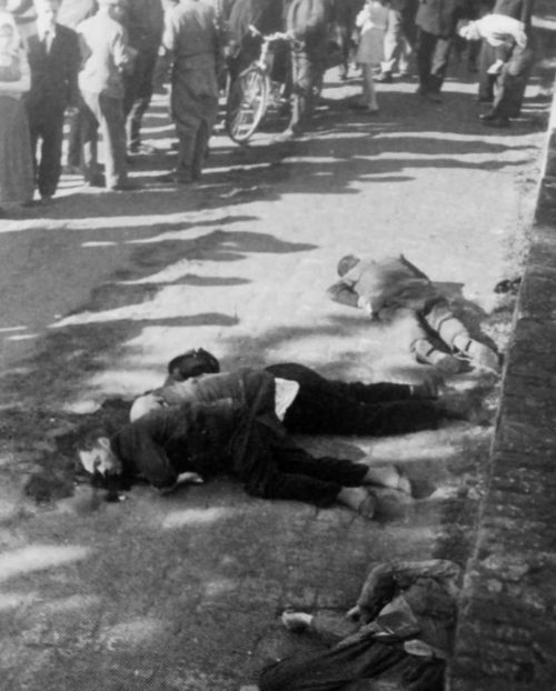 Расстрелянные немцами жители городка Панчево. 22 апреля 1941 г.