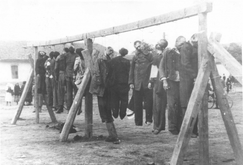 Повешенные немцами заключенные югославского концлагеря Зренянин. Сентябрь 1941 г. 