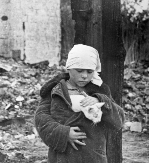 Девочка с котенком возле разрушенного дома. Октябрь 1941 г.