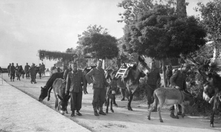 Проведение полицейской операции. 1943 г. 