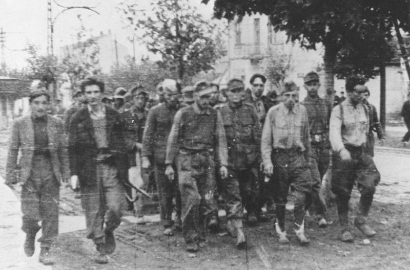 Колонна пленных немецких солдат на улице Белграда. Октябрь 1944 г.