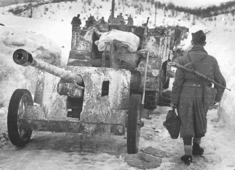 Колонна трофейных 50-мм противотанковых орудий, захваченных партизанами у Невесинье. Январь 1945 г.