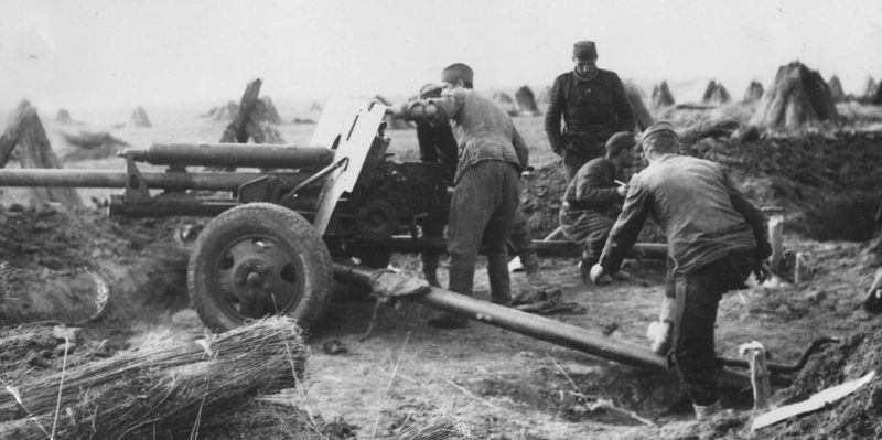 76-мм дивизионная пушка ЗИС-3 на Сремском фронте. 1945 г.