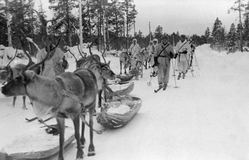 Финские диверсионные лыжные группы. Декабрь 1939 г.