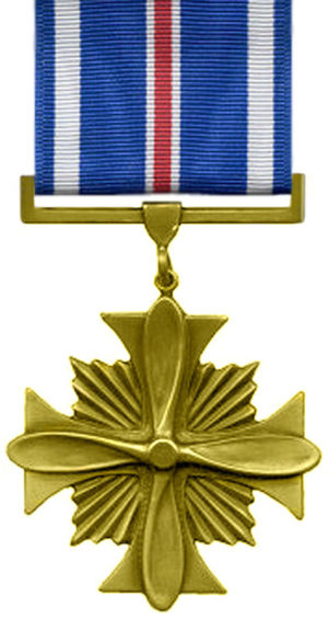 Бронзовый крест «За лётные боевые заслуги».