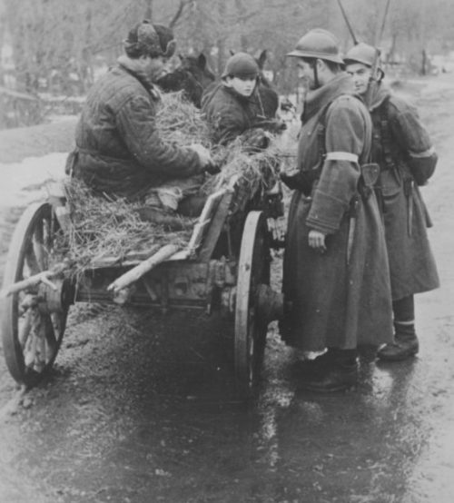 Румыны обыскивают подводу на дороге в Крыму. Январь 1942 г.