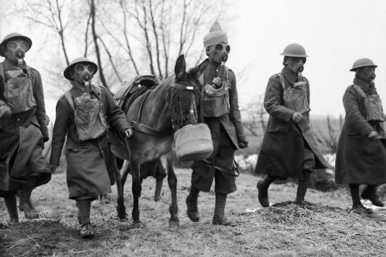 Индийские мулеры и мул в противогазах. 21 февраля 1940 г.