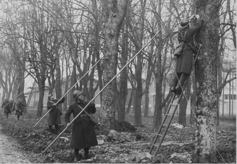 Французские солдаты прокладывают линию связи по деревьям на Западном фронте. Ноябрь 1939 г.