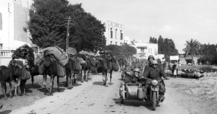 Немецкие десантники в Тунисе. Ноябрь 1942 г. 