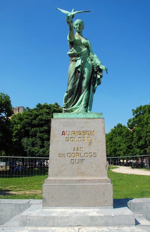 Памятник голубю-солдату в Брюсселе.