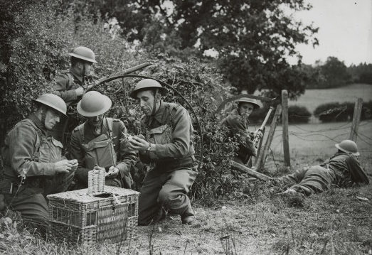 Солдаты на фронте запускают почтовых голубей.