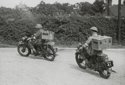 Мотоциклисты с клетками на доставке голубей в пункт связи. 