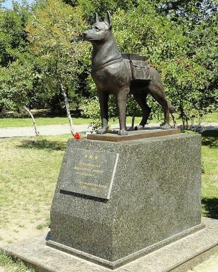 г. Волгоград. Памятник собакам-подрывникам, установленный в 2011 году по улице Калинина.