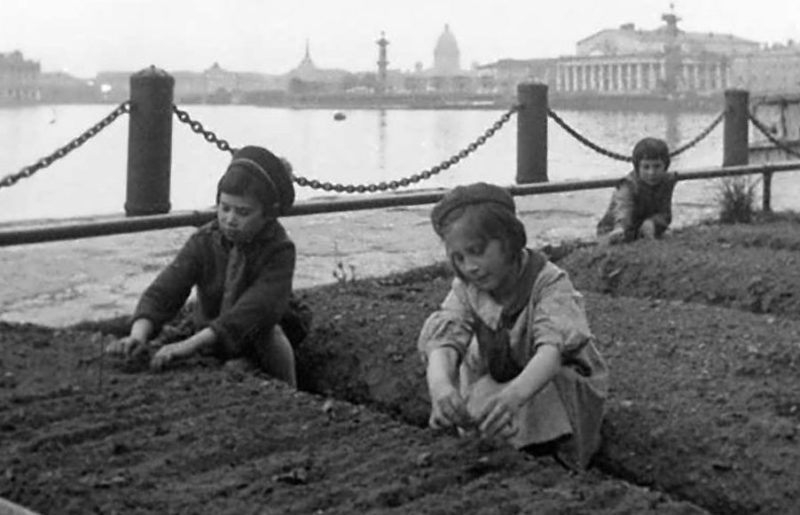 Дети блокадного Ленинграда на огородах. Май 1943 г.