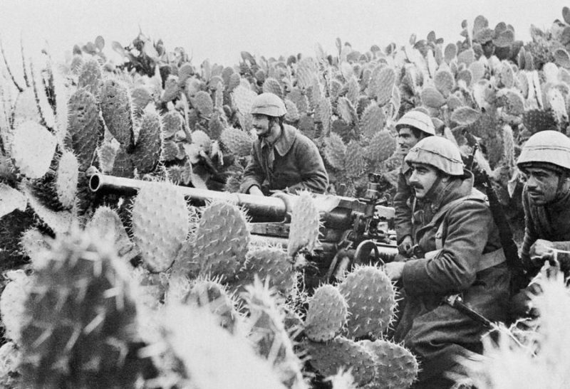 Итальянские артиллеристы среди зарослей кактусов. 1943 г.