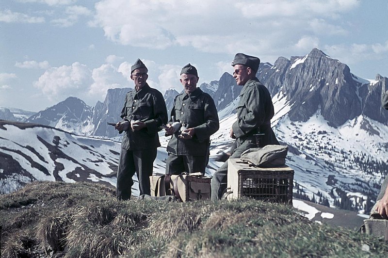 Тренировки птиц во время патрулирования в горах. 