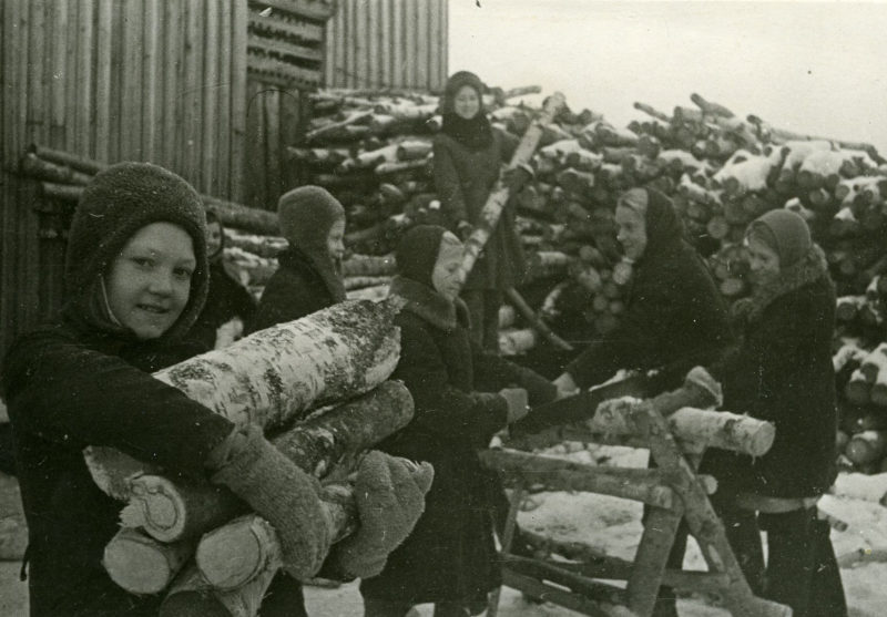 Заготовка дров. Московская область. Декабрь 1942 г.
