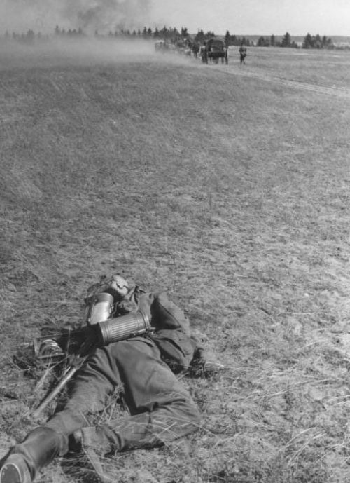 Погибший немецкий солдат у Рославля. Лето 1941 года.