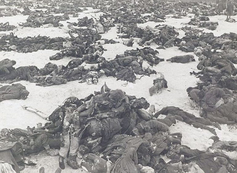 Тела немецких солдат на поле боя.
