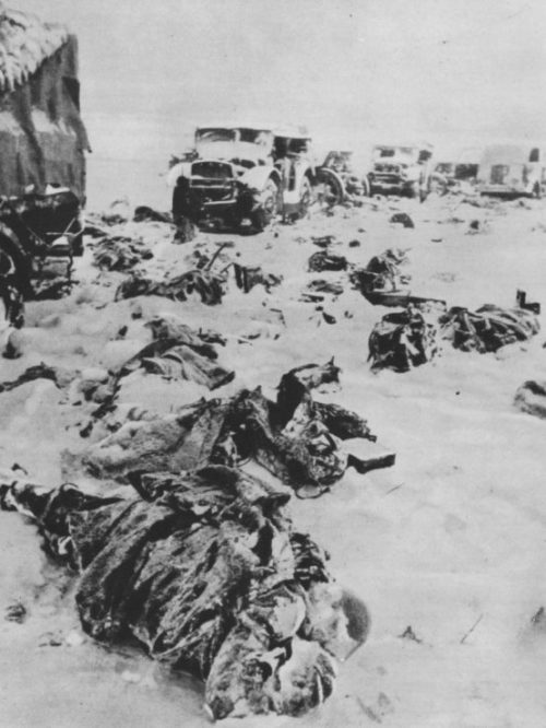 Замерзшие тела итальянских солдат у разбитой колонны тягачей на дороге под Сталинградом. 1943 г.