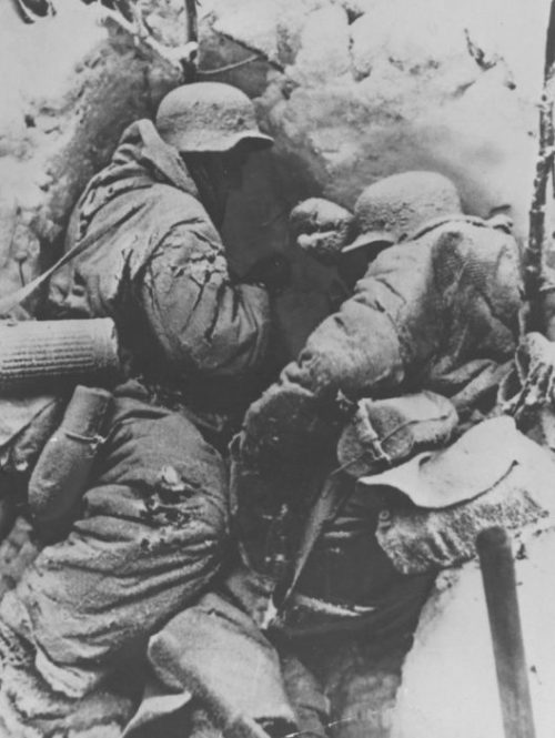 Тела немецких солдат на позиции в районе Сталинграда. 1943 г.