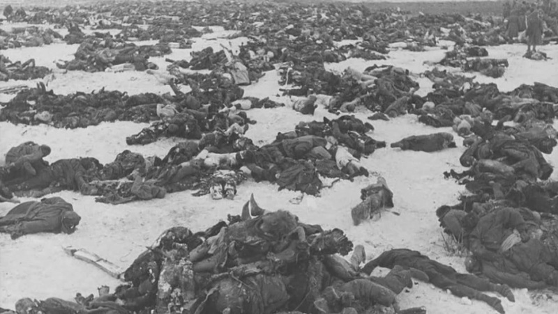 Тела немецких солдат в поле под Сталинградом. 1943 г.