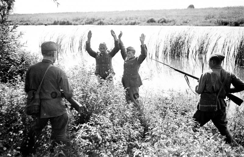 Немцы сдаются в плен южнее Воронежа. 1942 г. 