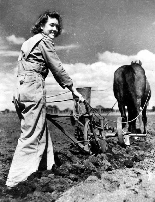 Женщины-члены австралийской сухопутной армии (AWLA) на сельхозработах. 1942 г.