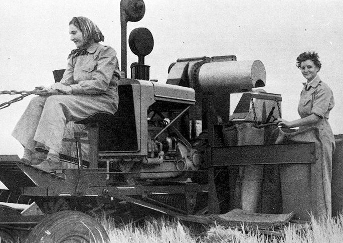 Женщины-члены австралийской сухопутной армии (AWLA) на сельхозработах. 1942 г.