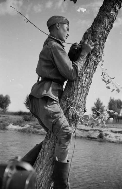Связисты прокладывают кабель через реку южнее Воронежа. 1942 г.