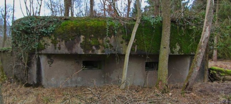 Каземат «Bois de Rittershoffen 3», вооруженный 37-мм противотанковым орудием, 50-мм минометом, 4 пулеметами, в т.ч. 3 сдвоенными.