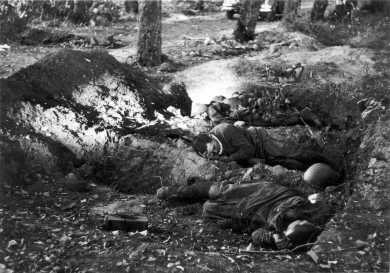 Красноармейцы, погибшие в бою в районе Гомеля. Август 1941 г. 