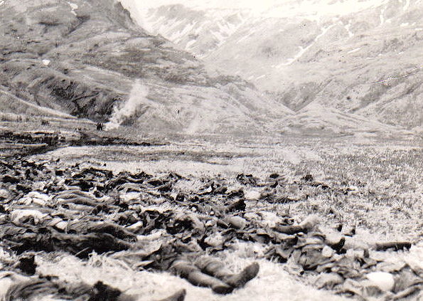Убитые японские солдаты после атаки на американские позиции. 