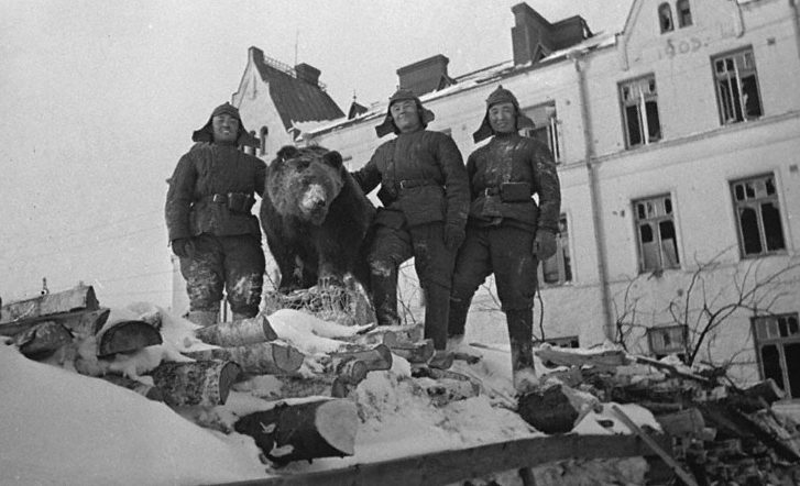 Бойцы Красной Армии на укреплениях в Выборге. Март 1940 г.
