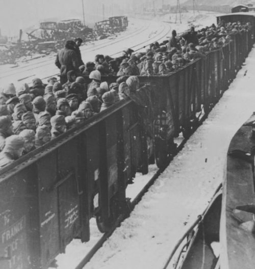 Пленные красноармейцы в открытых вагонах в районе Брянска. Ноябрь 1941 г.
