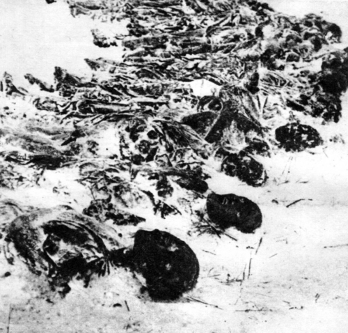 Останки советских мирных граждан, расстрелянных во дворе тюрьмы в Гомеле. Ноябрь 1943 г.