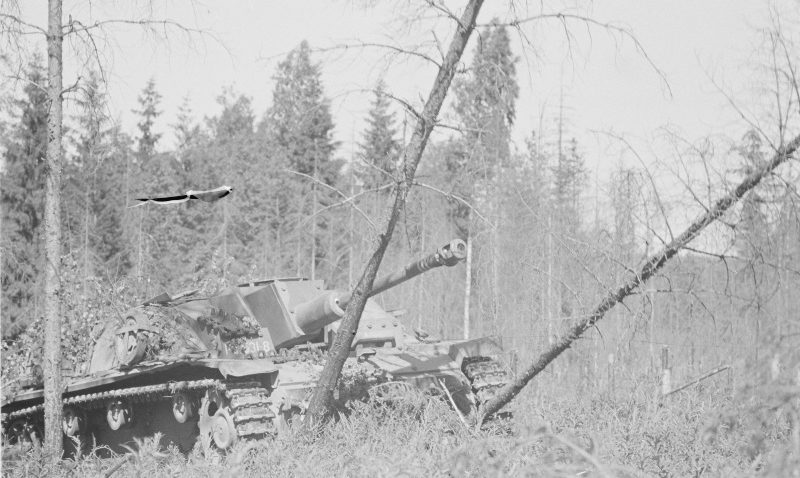 Финское штурмовое орудие в лесу в районе Выборга. Июнь 1944 г.