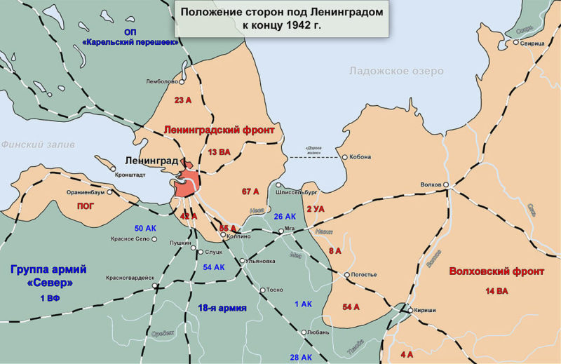 Линия фронта под Ленинградом на январь 1943 г.