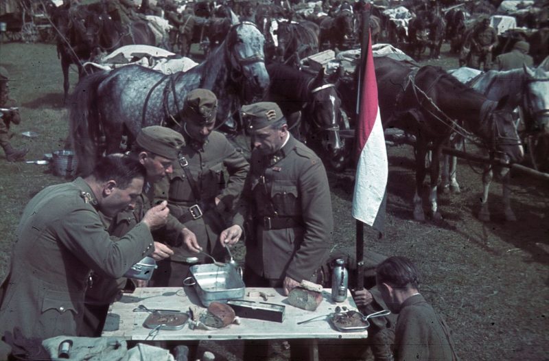 Румынская кавалерия в Северной Трансильвании. 1941 г.